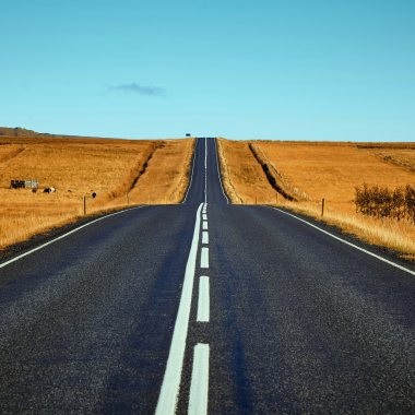 Lonely Journey
