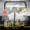 月月圓舞曲