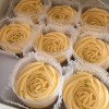 Yellow Roses