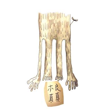 濫情歌手