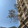 回家路上經過一家臭豆腐店叫獨臭之家但是還不能內用，外帶搭公車真的很像臭水溝味，還好公車上都沒有人，真的有夠臭哈哈哈( *╹ڡ╹* )