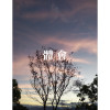 體會 Demo