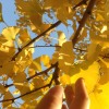 perfect moment