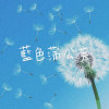 藍色蒲公英