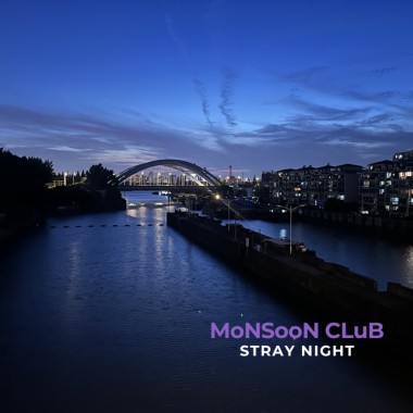 Stray Night demo
