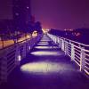 Purple bridge (demo)