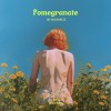 寶石般的石榴 Pomegranate