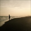 Water's Edge /  Moshimoss