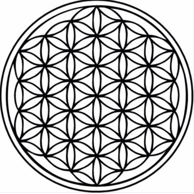 Trippin'