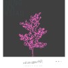 我還是沒帶你去看先知瑪莉(Instrumental Version)