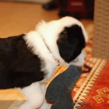 Don’t Put Your Blame On Me