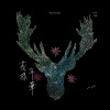 花樣年華 화양연화 BLOOMING DAYS