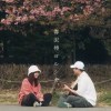 春泥棒 - ヨルシカ cover