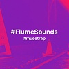 museking-FlumeSounds