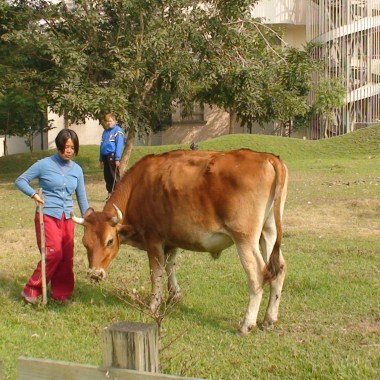 伯大尼之歌