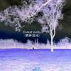 Forest party (森林派对）demo