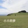 小小的夢