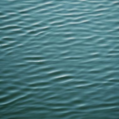 清水裡面沒有魚