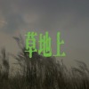 草地上