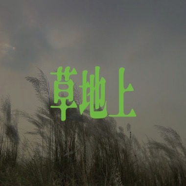 草地上