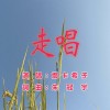走唱