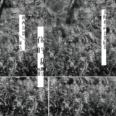 你的身體／葉青 -「滾動的詩」音樂紀實