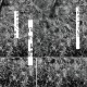 你的身體／葉青 -「滾動的詩」音樂紀實