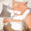 雙向奔赴