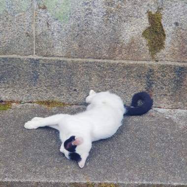 好想知道