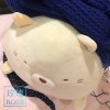 玫瑰