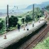 火車已經到車站 Train Has Arrived
