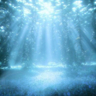 海底