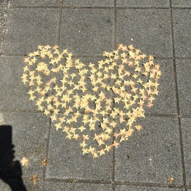 我的力量