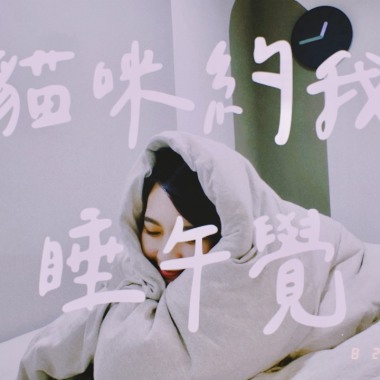 貓咪約我睡午覺