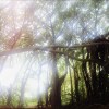 Vuvu的想念 （Demo ）