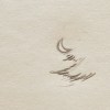 月光 (demo)