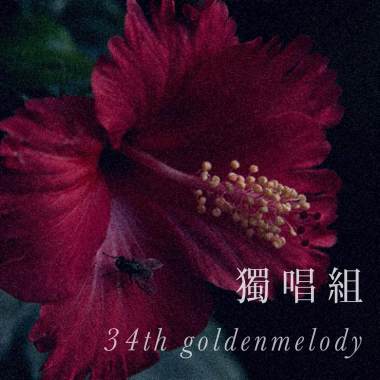34獨唱組_淡江大學_財金系_劉宏禹