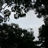 原創歌曲：唱不完的歌 - 隨風飄揚 (Demo) (Original) 