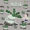 挽菜頭