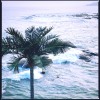 Sugar coat糖衣 - 晚风潮汐