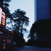 都市叢林中的修行者 (Instrumental)
