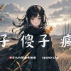 騙子、傻子、瘋子