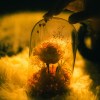 虛無的溫暖(demo)