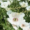 詞代替 Goodnight Goodbye (demo)