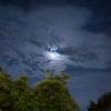 VaCY-MooNlighT (prod.by saka ayumu)