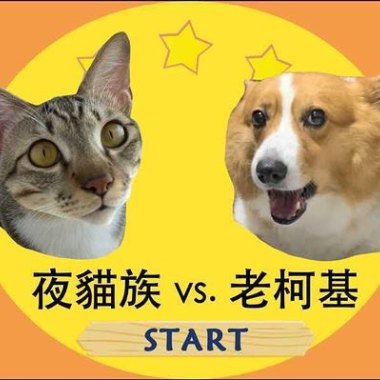 貓狗大戰小河岸場-終極時空