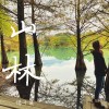 山林 demo