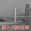 因为风的缘故
