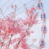 小黑戀愛日記