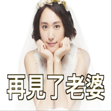 給前妻結衣的歌 ガッキーへ